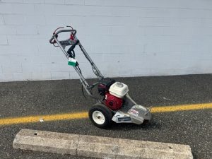 Stump Grinder: 5.5 HP Engine