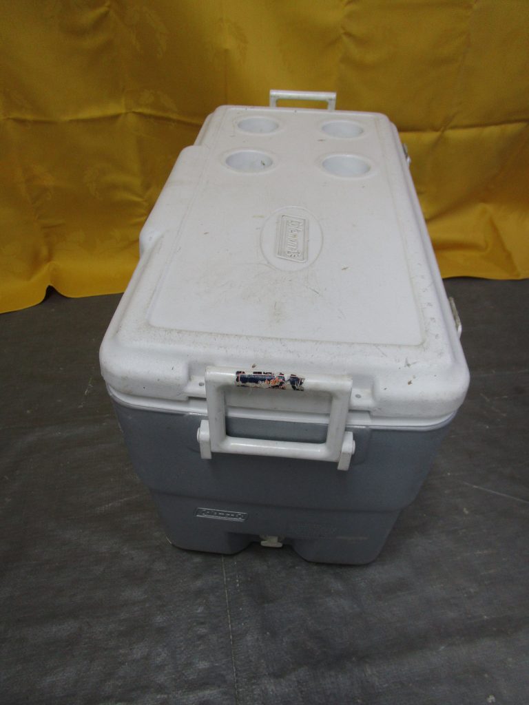 Cooler Medium Ice Chest RentalWorld